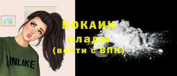 дживик Абаза