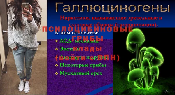 дживик Абаза